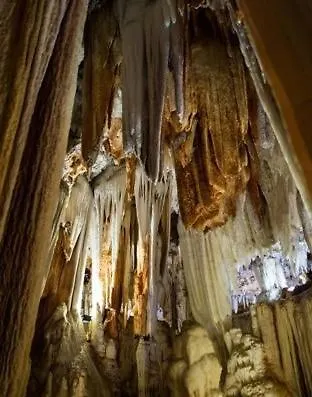 El Valhalla, Tu Lugar De Descanso En La Tierra. 펜션