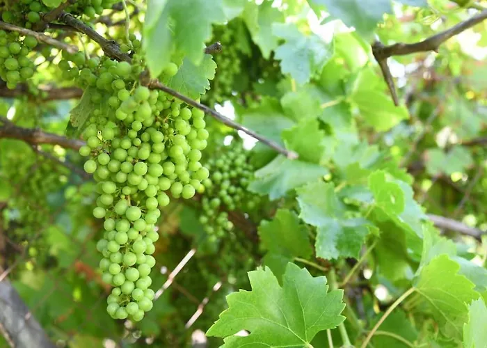 펜션 El Valhalla, Tu Lugar De Descanso En La Tierra.